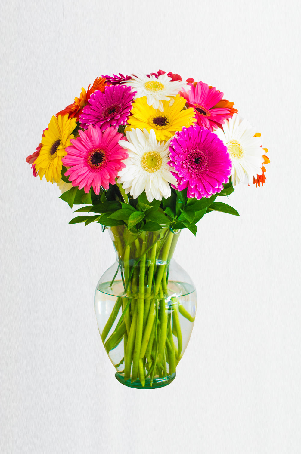Sonrisa de gerberas