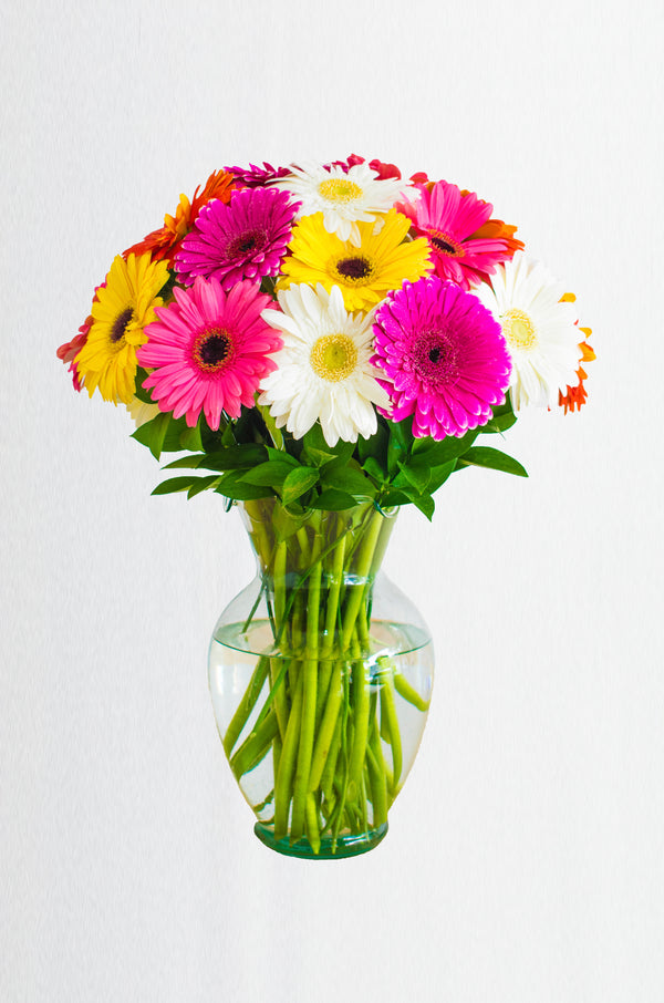 Sonrisa de gerberas